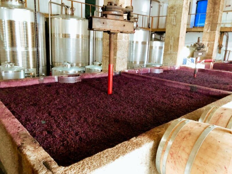 Porto: Douro Valley Tour with Wine Tasting, Cruise and Lunch - Who Would Enjoy This Tour?