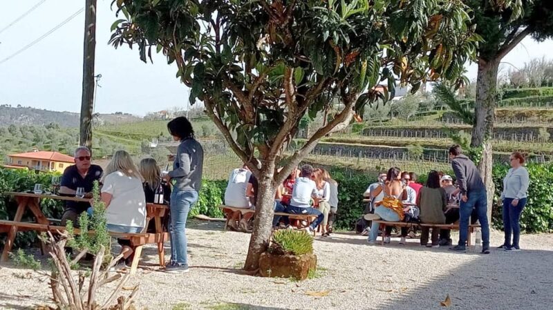 Porto: Douro Valley Vineyards Tour with Lunch & River Cruise - FAQs about the Douro Valley Tour