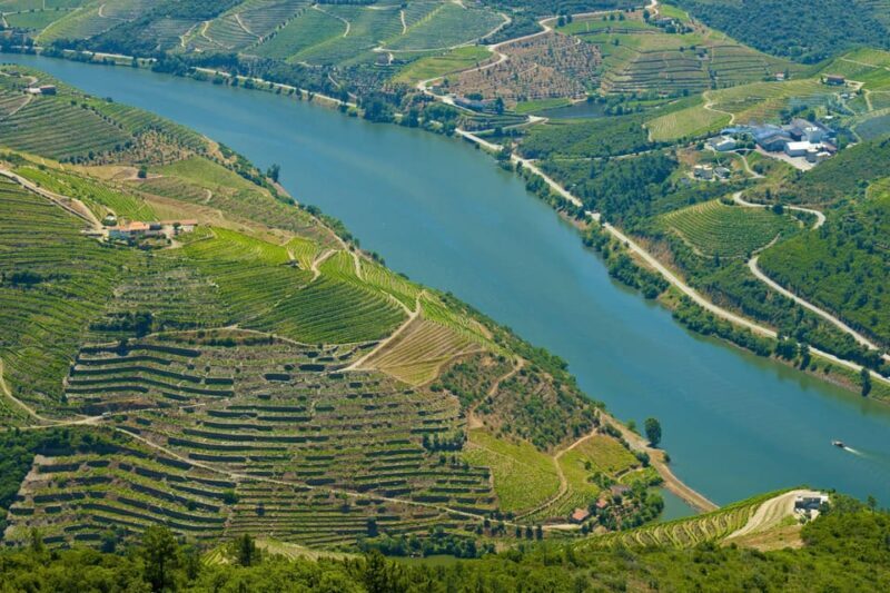 Porto: Douro Valley Wine & History Tour with Cruise & Lunch - Wine Tasting at a Renowned Estate