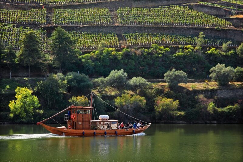 Porto: Douro Valley Wine & History Tour with Cruise & Lunch - The Practicalities and Pacing of the Tour