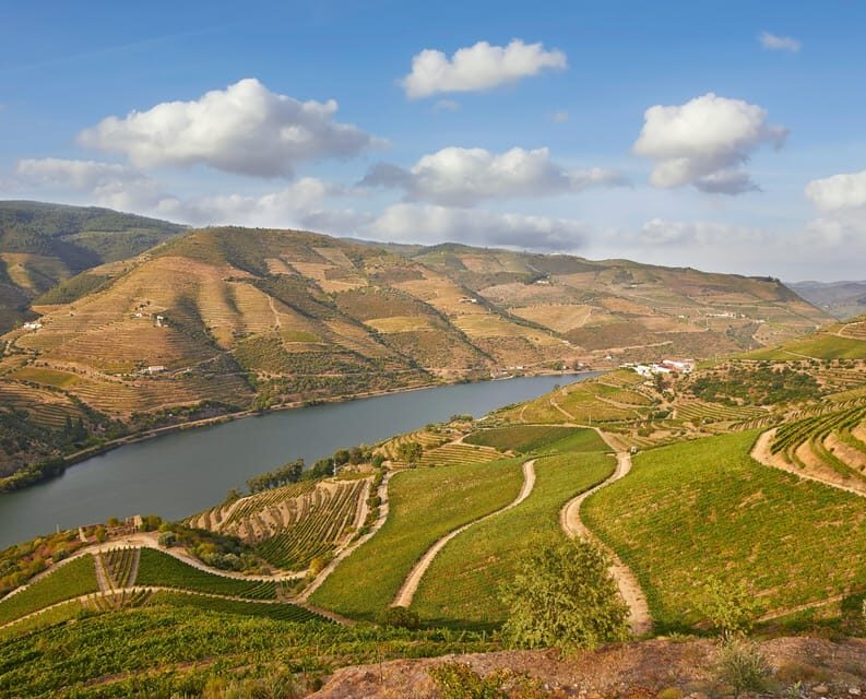 Porto: Douro Valley Wine & History Tour with Cruise & Lunch - Final Thoughts