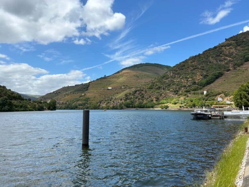Porto: Douro Valley Wine Tour, Private Small Group Boat Ride, Wine Tasting, Food - Exploring the Douro Valley in Detail