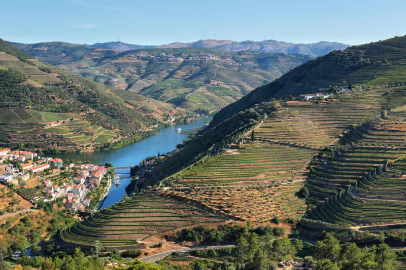 Porto: Douro Valley Wine Tour with a Sommelier & Boat Trip - An In-Depth Look at the Tour