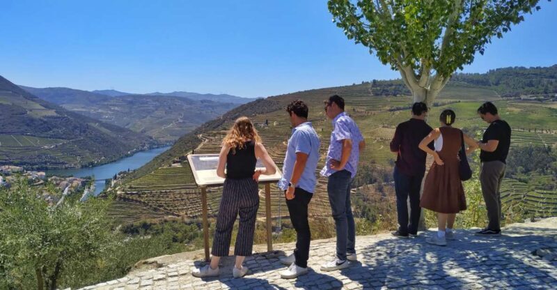 Porto: Douro Valley Wine Tour with Tastings, Boat, and Lunch - Why the Value Adds Up