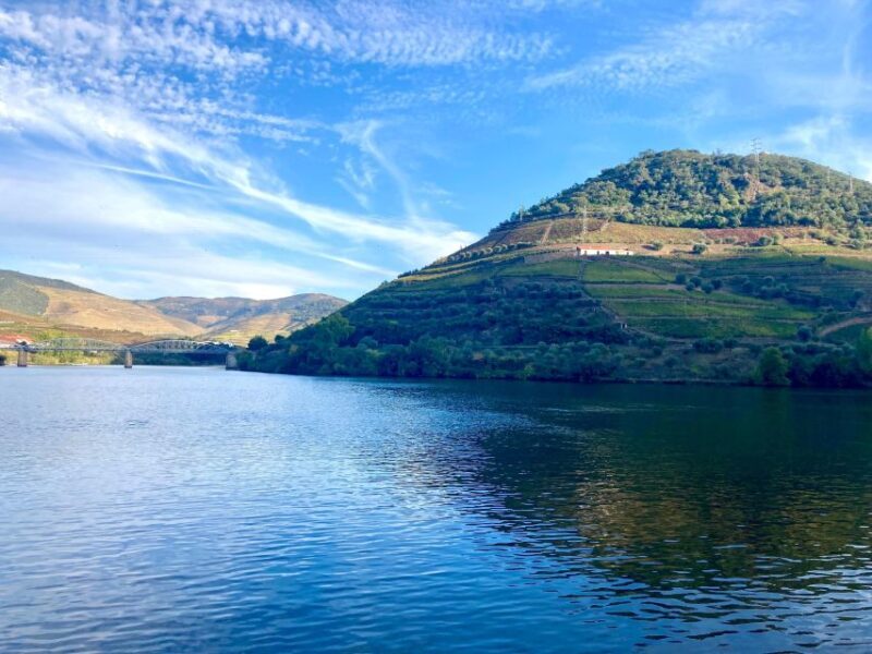 Porto: Douro Valley Wine Tour with Tastings, Boat, and Lunch - The Return and Final Thoughts