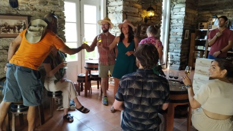 Porto: Douro Valley Wine Tour with Tastings, Boat, and Lunch - Who Should Consider This Tour?