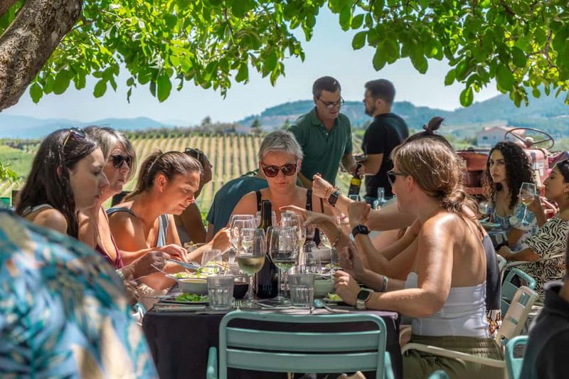 Porto: Douro Valley with Winery Lunch, Tastings & Cruise - Sabrosa and Wine Estate Time: Guided Tastings With Lunch Setup