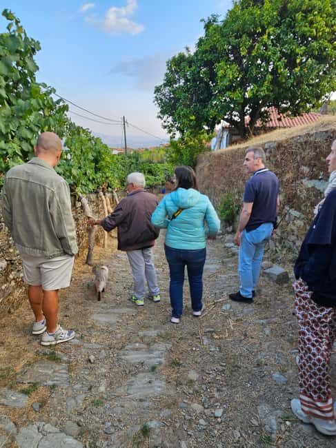 Porto-Douro: visit to a Quinta with wine tasting and train trip - Practical Details & Tips