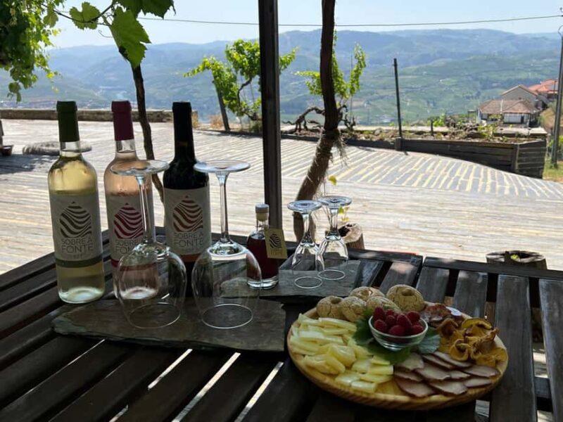 Porto-Douro: visit to a Quinta with wine tasting and train trip - Who Is This Tour Best For?