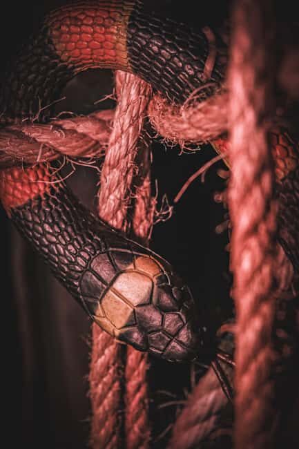 Porto Escape Room: Catacomb Jones - How Accessible Is It?