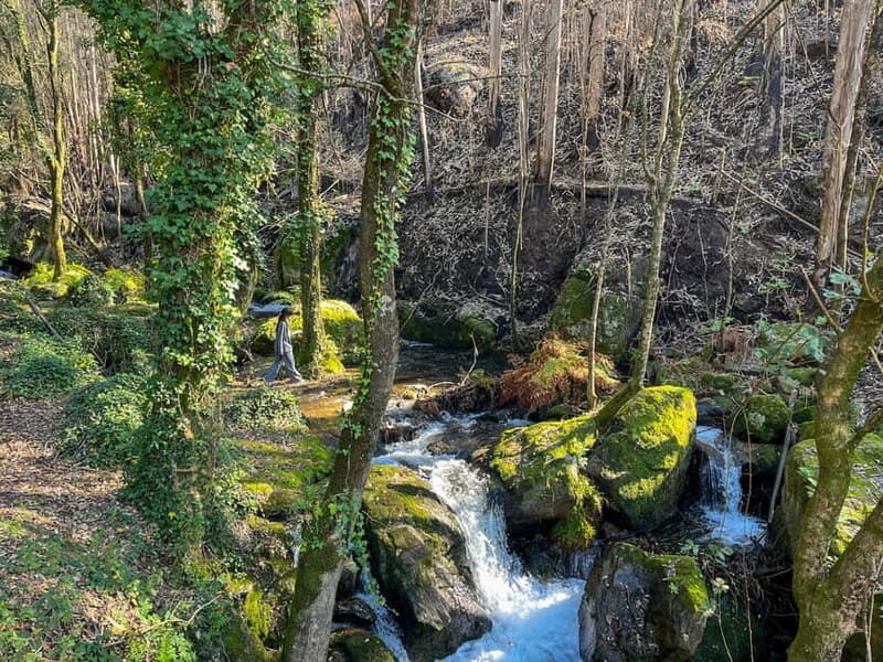 Porto: Forest Waterfalls & Roman Ruins Trail Tour - FAQs