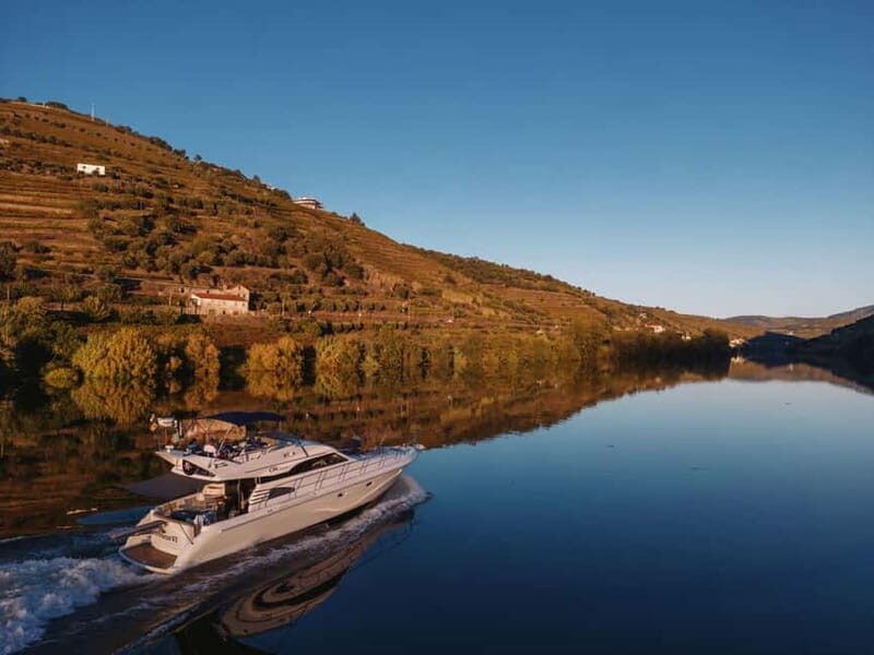 Porto: Full Day Douro River Cruise from Porto to Régua - The Experience’s Strengths: Why Travelers Love It