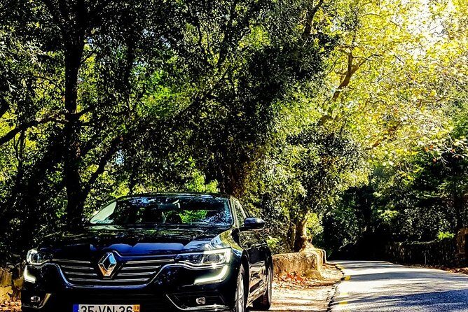 Porto Full Day Private Tour from Lisbon - The Starting Point: From Lisbon to Porto