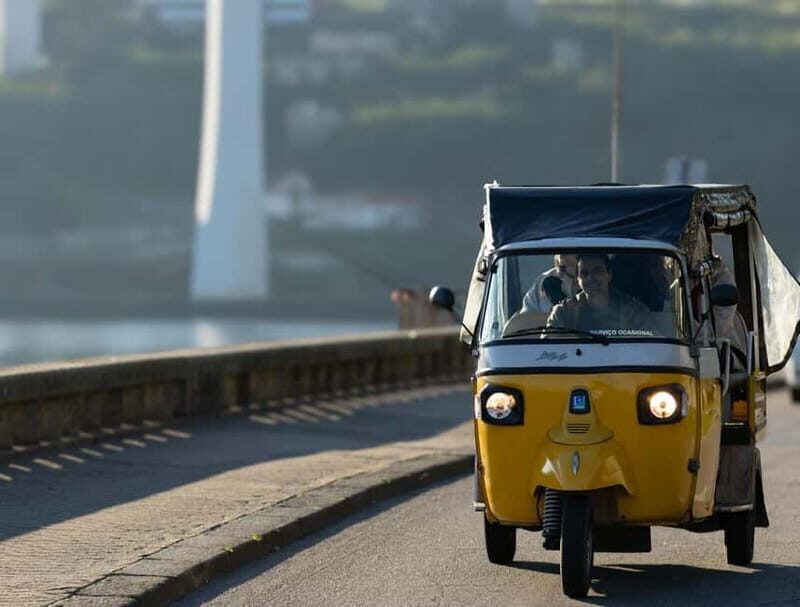 Porto: Fun Private Tuk Tuk Tour - Who Should Consider This Tour?
