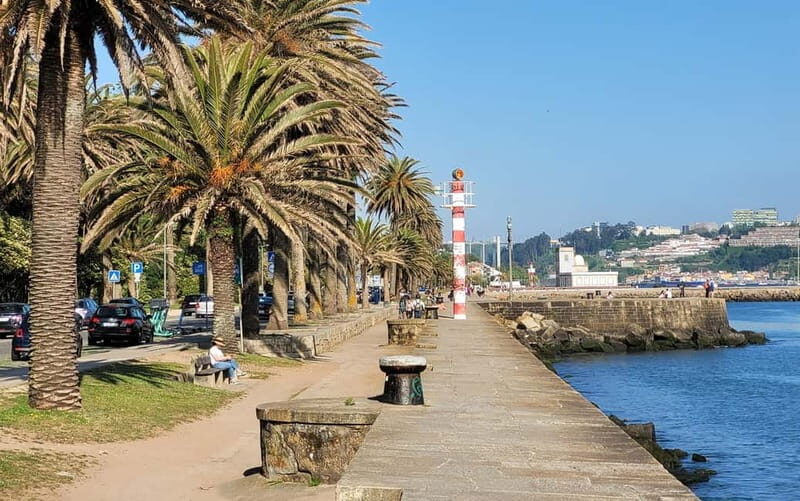 Porto-Gaia-Matosinhos: Private Half-Day Panoramic Tour - The Value of This Tour