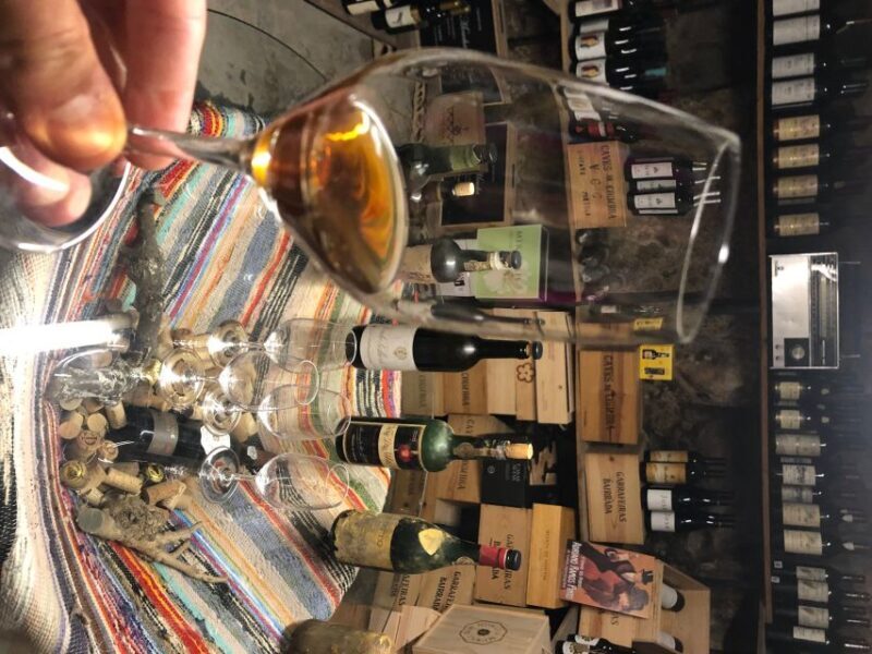 Porto Gourmet Guided Food Tour and Wine - Who Will Love This Tour?