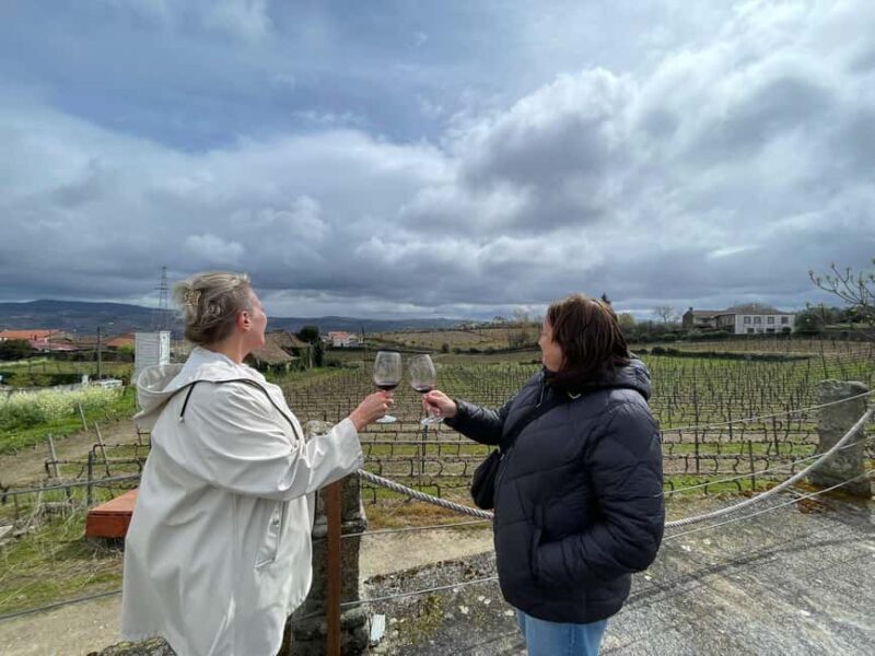 Porto: Green Wine Tasting and visit - Key Points