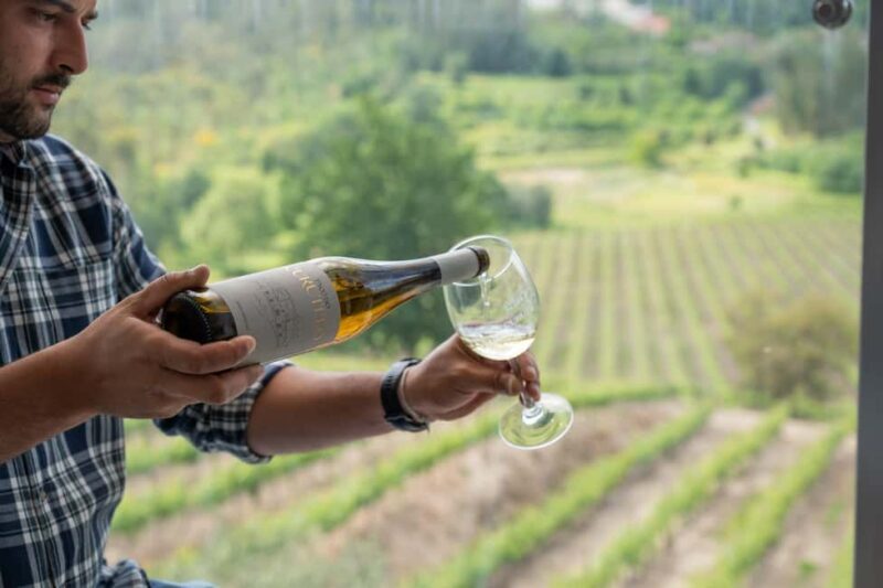 Porto: Green Wine Tasting and visit - Final Thoughts