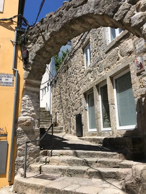 Porto: Guided City Highlights Walking Tour - FAQ