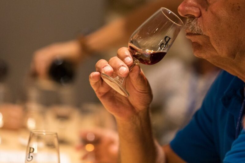 Porto: Guided Tour and Tasting of 3 Port Wines at Poças - Who Should Consider This Tour?
