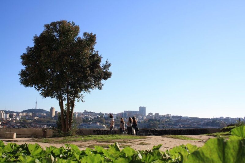Porto: Half-Day Jewish Tour - Practical Details You Should Know
