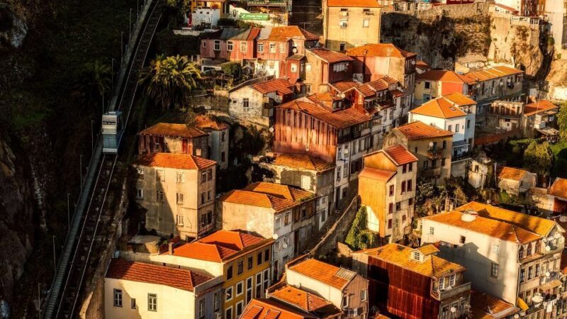 Porto Half Day Walking Tour: River Cruise & Wine Tasting - What to Expect from the Tour