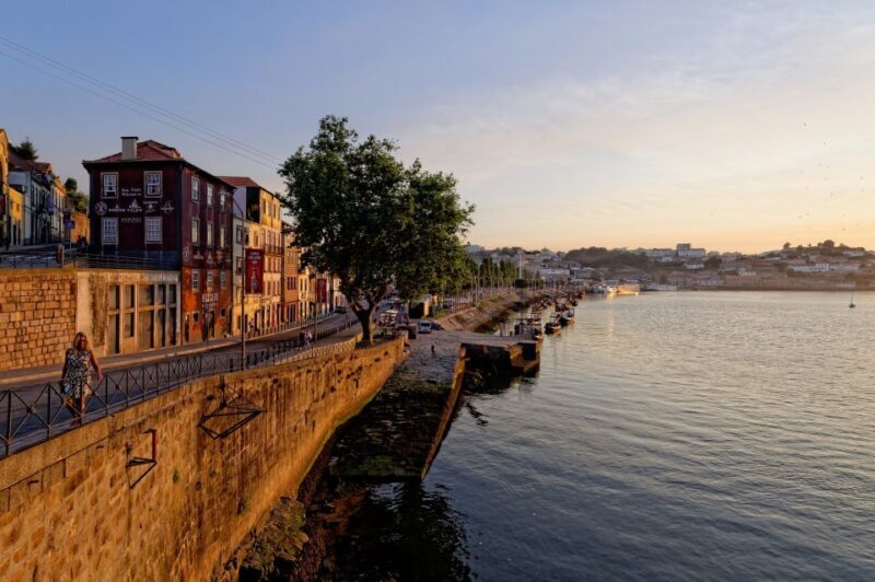 Porto Half Day Walking Tour: River Cruise & Wine Tasting - The River Cruise: A Different Perspective