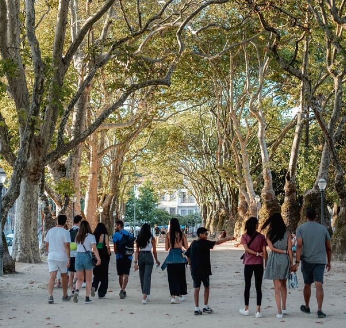 Porto: Harry Potter and City of Porto Guided Walking Tour - Authentic Experiences and Surprises