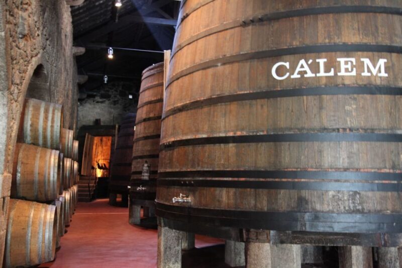 Porto: Hop-on Hop-off Bus with Optional Cruise & Wine Cellar - Discovering Porto: What to Expect from the Tour