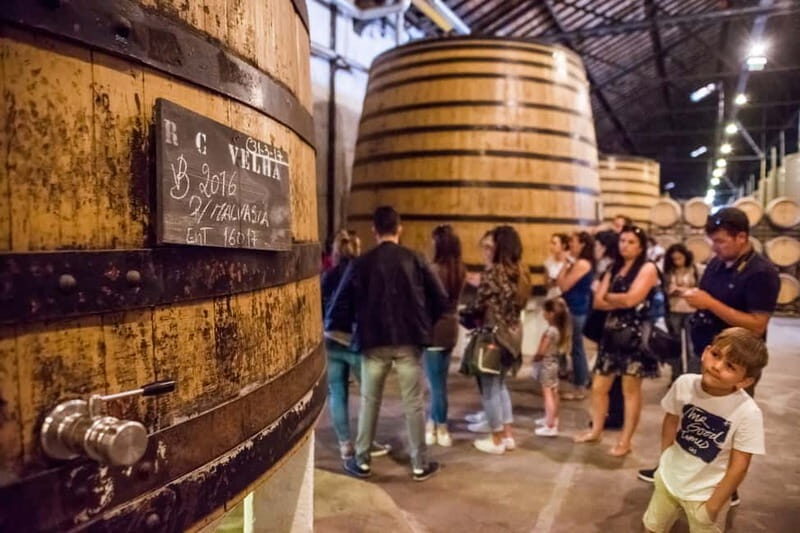 Porto: Magic Train Tour and Port Wine Cellar with Tastings - Authentic Traveler Perspectives