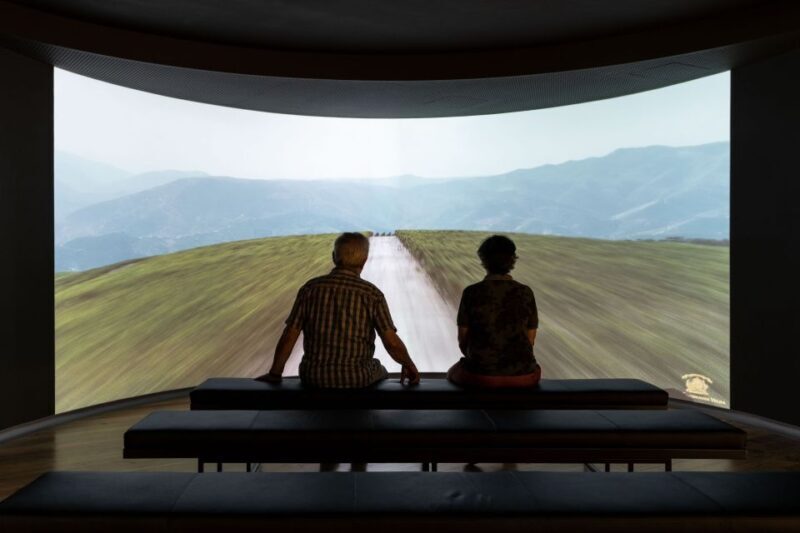 Porto: Museum of the Oldest Appellation in the World Ticket - Key Points