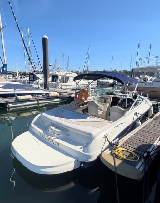 Porto: Private Cruise on Douro -1:30hr up to 6 people - Key Points