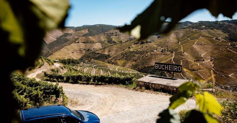 Porto: Private Douro Valley 4x4 Tour with Lunch - What to Expect From This Tour