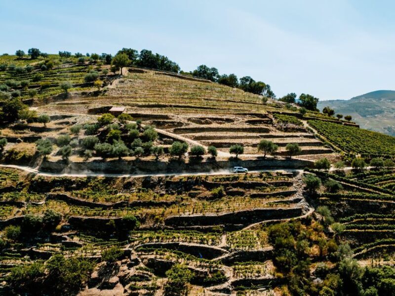 Porto: Private Douro Valley 4x4 Tour with Lunch - Is It Worth the Price?