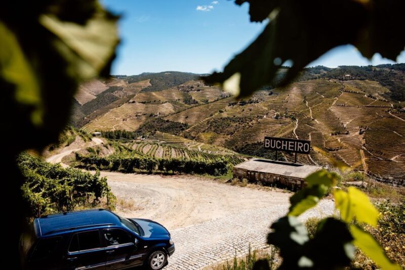 Porto: Private Douro Valley 4x4 Tour with Lunch - The Bottom Line