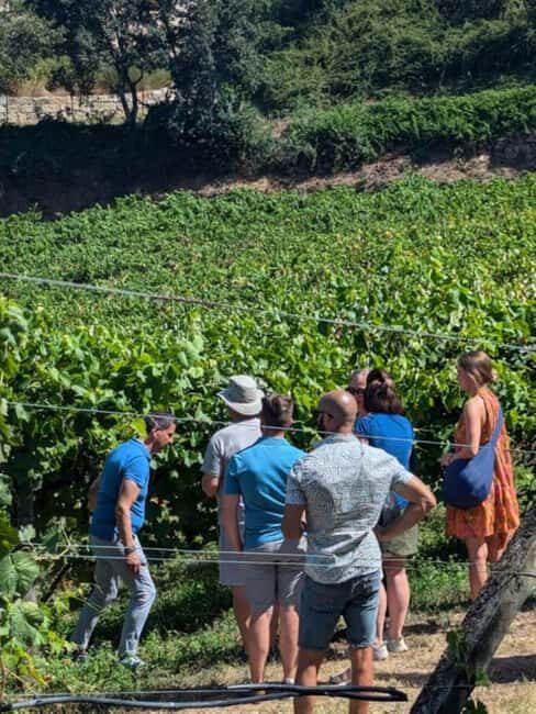 Porto: Private Douro Valley tour with lunch, wine tasting, and a cruise - 2 wineries - Key Points