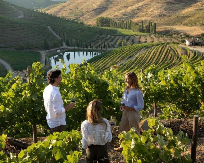 Porto: Private Douro Valley tour with lunch, wine tasting, and a cruise - 2 wineries - FAQs