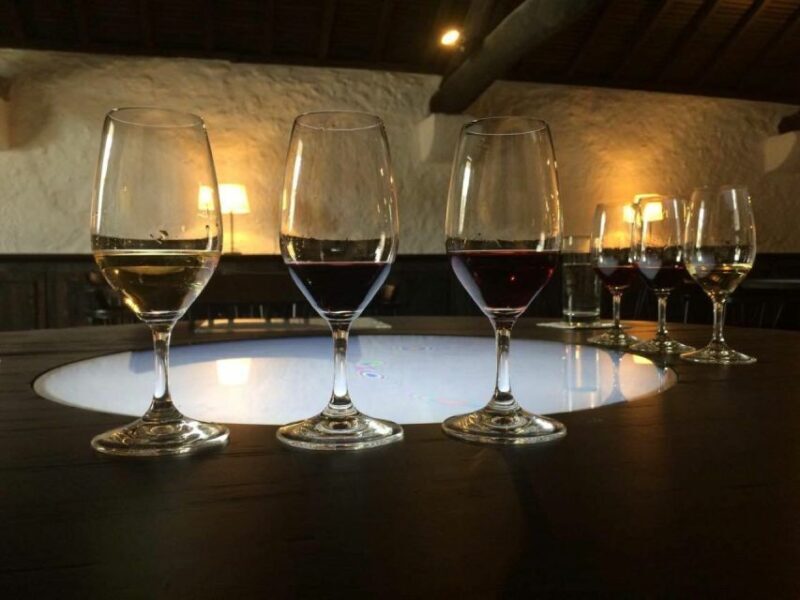Porto: Private Guided Wine-Tasting Tour - An In-Depth Look at the Porto Wine-Tasting Tour