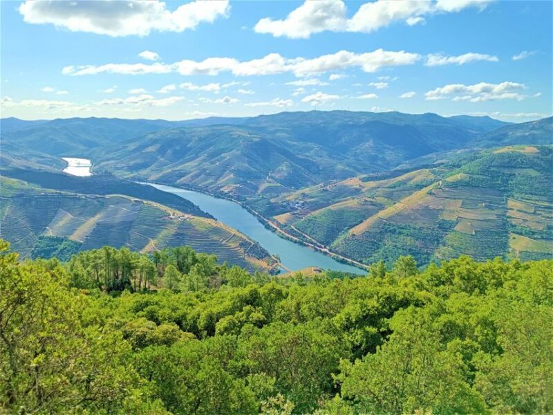 Porto: Private Tour Douro Valley/Winery SECXVIII /Boat/Lunch - FAQ: Your Questions About the Douro Valley Private Tour