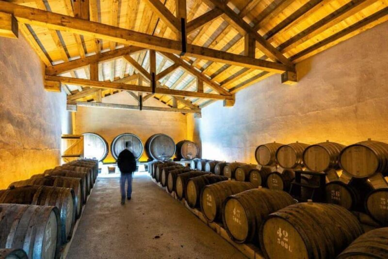 Porto: Private tour in Bairrada - From wine to suckling pig with tradition. - Exploring Bairrada: A region of wine and tradition