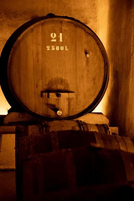 Porto: Private tour in Bairrada - From wine to suckling pig with tradition. - What makes this tour stand out?