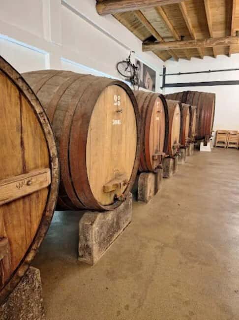 Porto: Private tour in Bairrada - From wine to suckling pig with tradition. - Who is this tour best suited for?