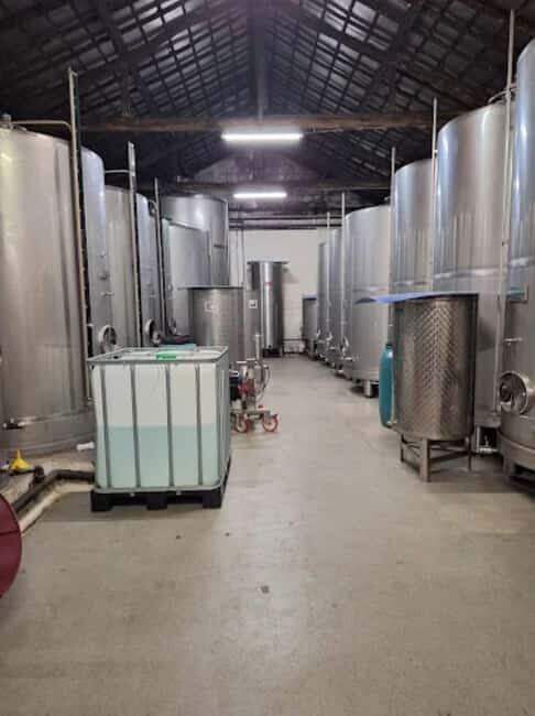 Porto: Private tour in Bairrada - From wine to suckling pig with tradition. - The Sum Up: Is this the tour for you?