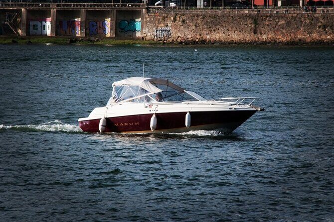 Porto: Private Tour to D. Luís Bridge (1h), group price up to 6px - An In-Depth Look at the Tour Experience