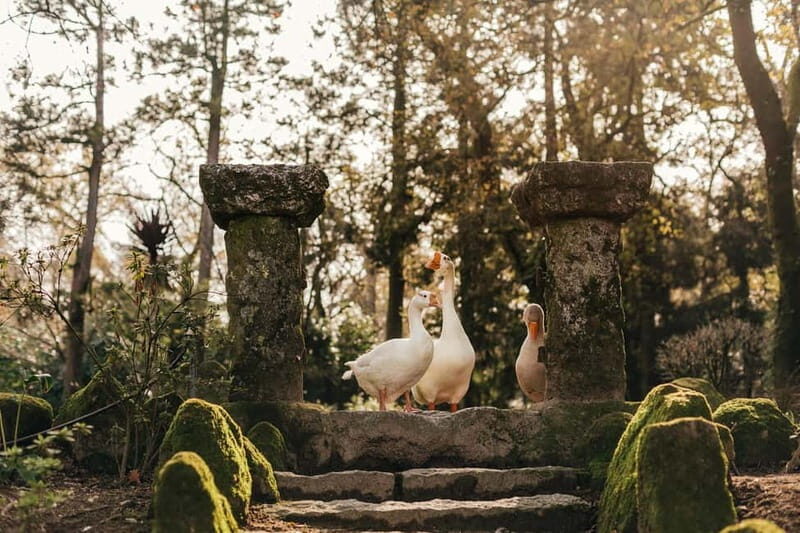 Porto: Qta da Aveleda Enchanted Gardens & Green Wine - Authentic Opinions from Tour-goers