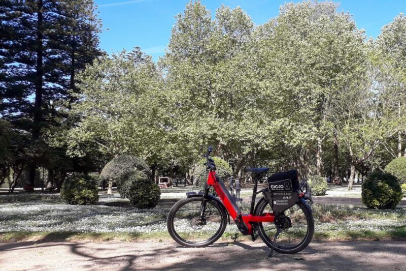 Porto Riverbank Tour on an e-bike: Atlantic Coast, Gardens - Is This Tour Worth the Price?