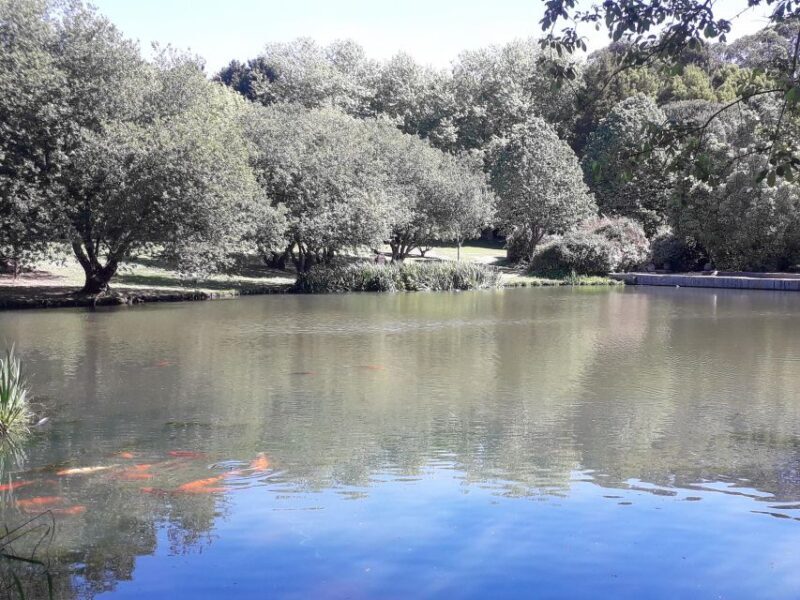 Porto Riverbank Tour on an e-bike: Atlantic Coast, Gardens - Who Is It Best For?