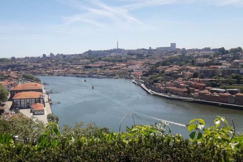 Porto Riverbank Tour on an e-bike: Atlantic Coast, Gardens - Final Thoughts