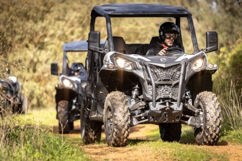 Porto Santo: 180 Minutes Off-Road Buggy Tour - Key Points