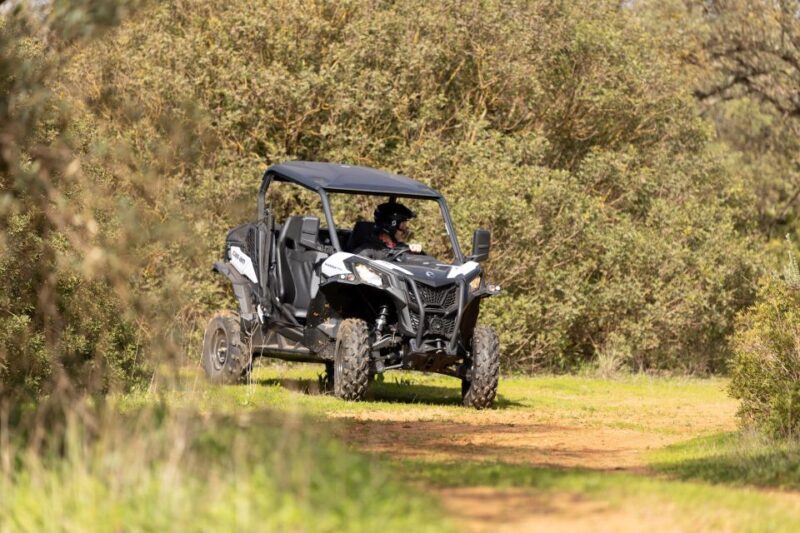 Porto Santo: 180 Minutes Off-Road Buggy Tour - What Makes This Tour Special?
